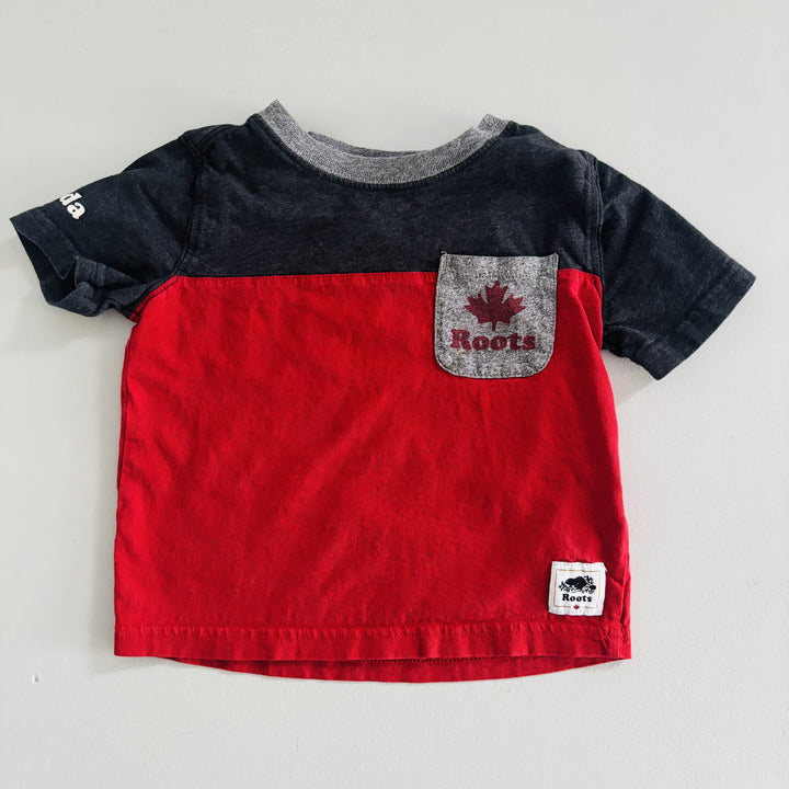 T - Curated Cubs