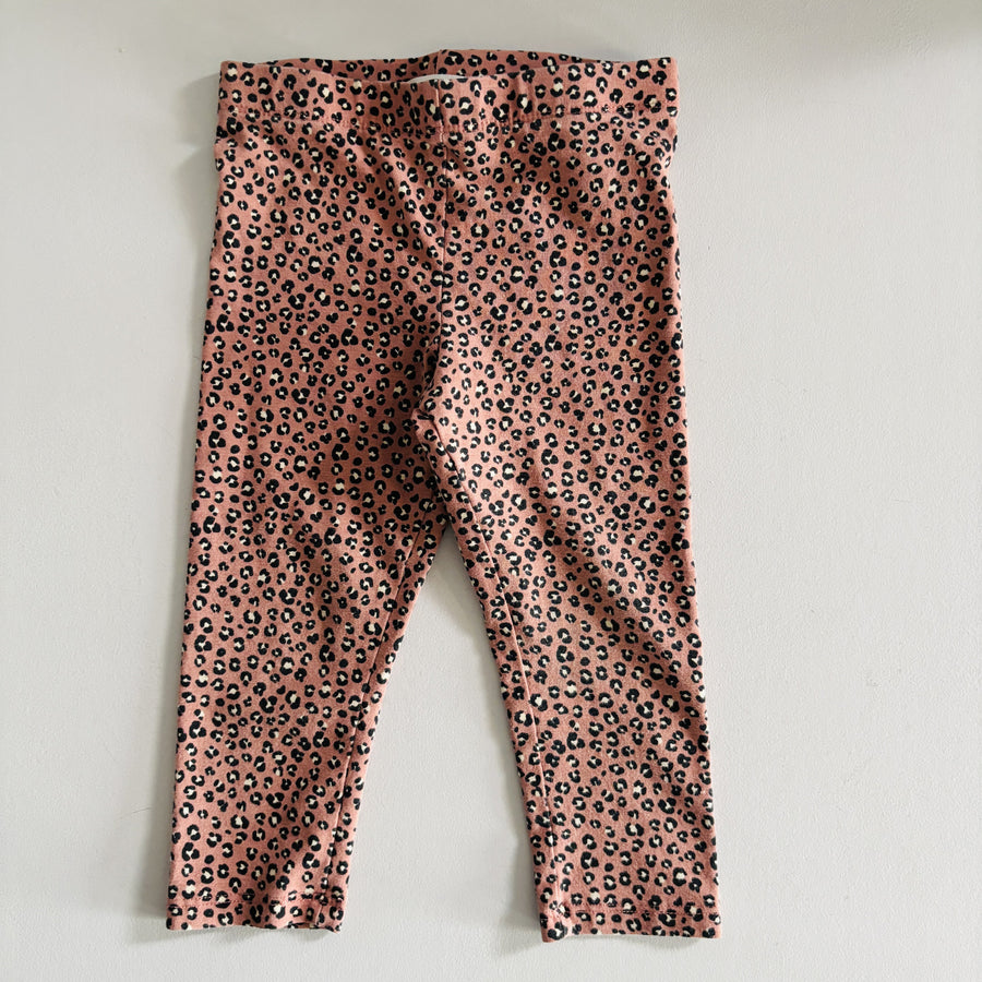   - Curated Cubs