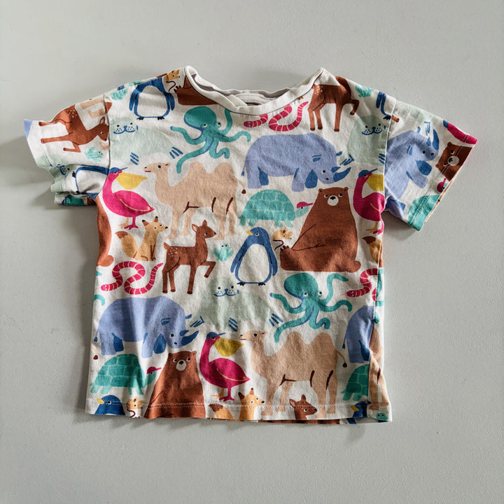 - - Curated Cubs