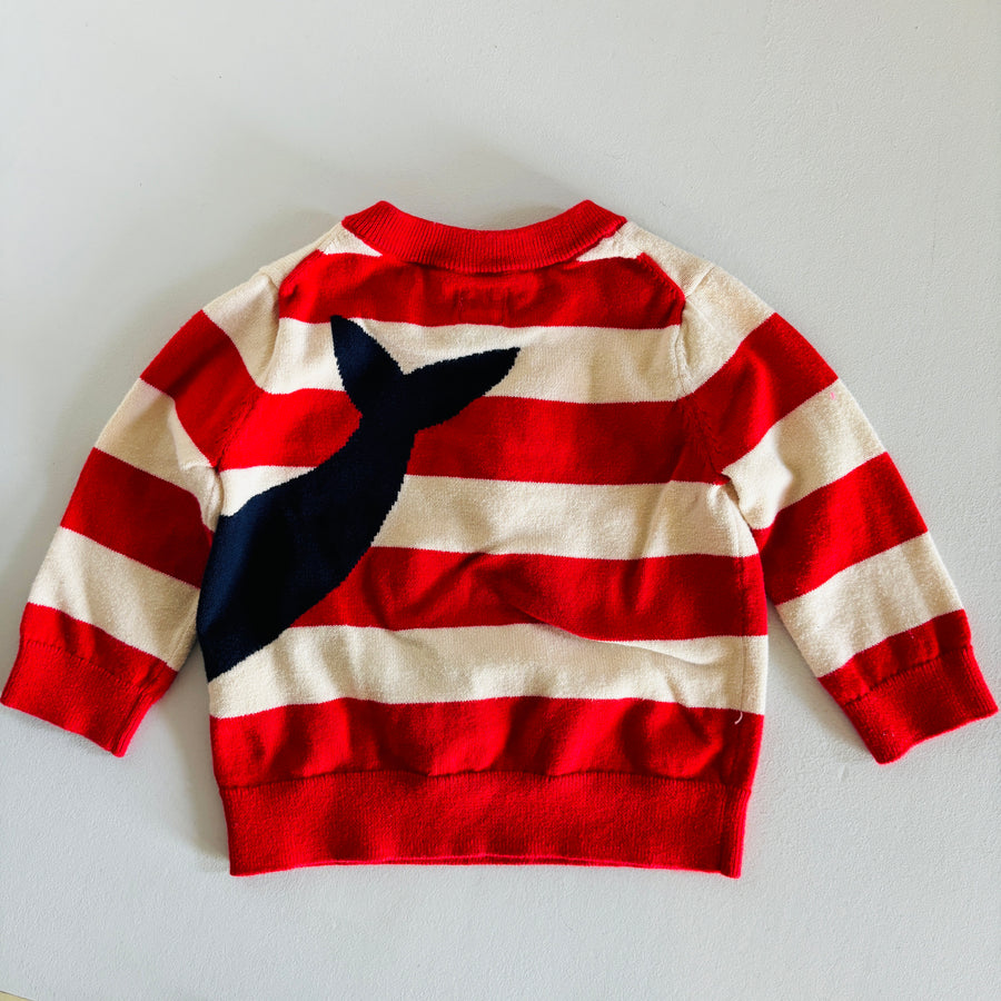 Cotton Sweater | 6-12mos