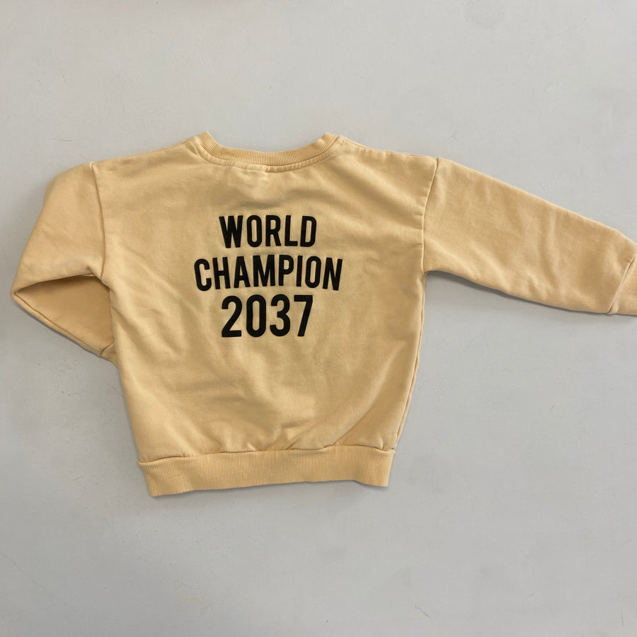 Fruit Sweatshirt | 2-3T