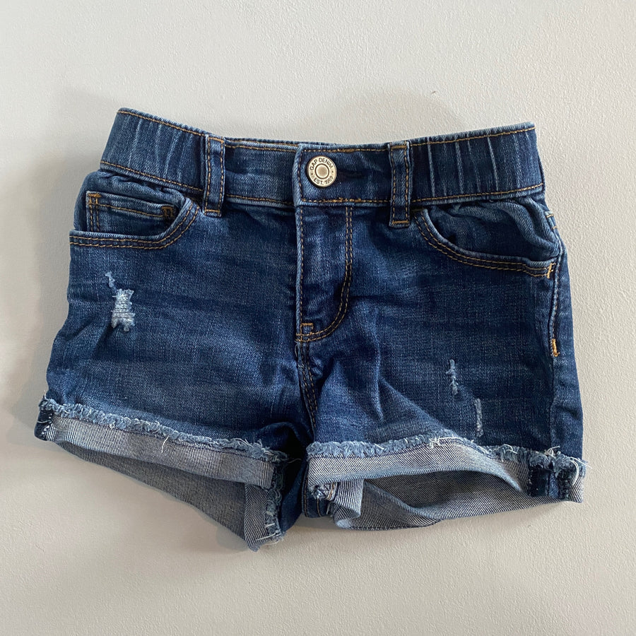 Distressed Shorts | 5T