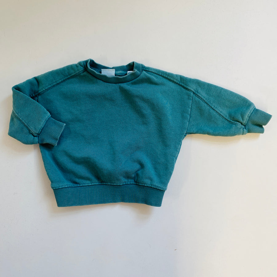 Crewneck Sweatshirt | 6-9mos